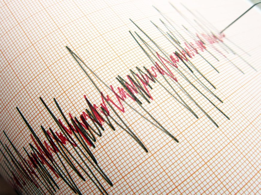 هزة أرضية بقوة 4.4 درجات تضرب مياه خليج عدن دون تسجيل أضرار