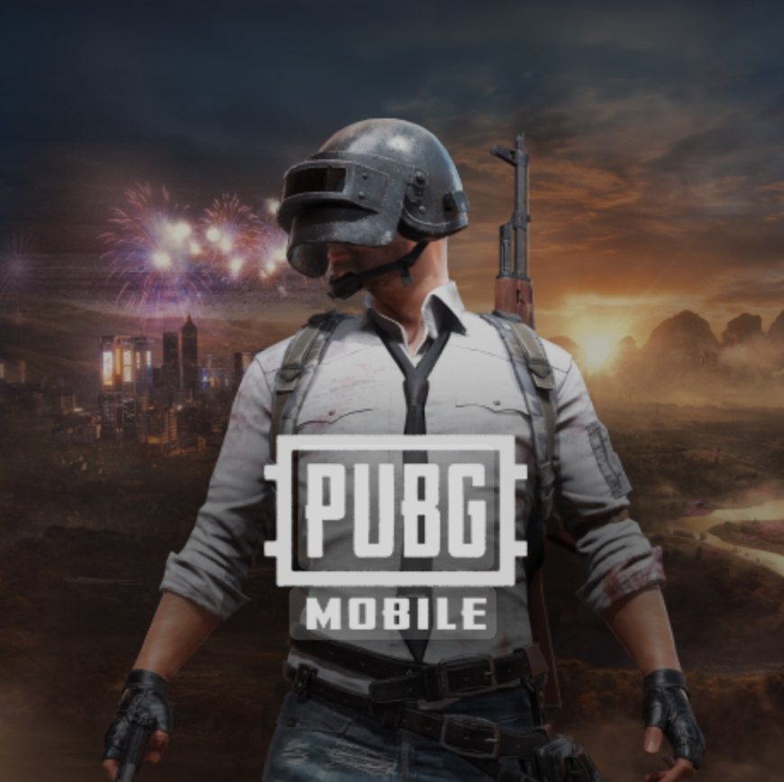 مقتل شقيقان والسبب لعبة PUBG !