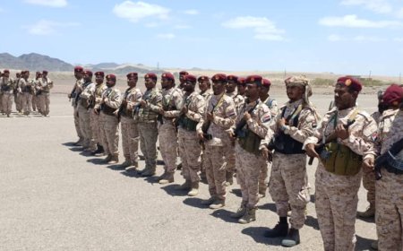 بتكليف من وزير الدفاع.. لجنة عسكرية رفيعة تزور جبهات محور العند- كرش القتالي