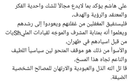 البرلماني معوضه: دفاع الحوثيين عن "علي هاشم" يكشف وحدة الفكر والهدف