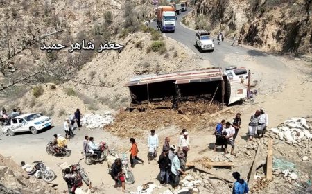 نفوق عشرات الاغنام اثر حادث سير على طريق يربط بين تعز وعدن