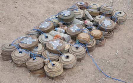 اليوم العالمي للتوعية بمخاطر الذخائر المتفجرة