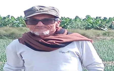 نصيحه لوجه الله ..افحص أي كرتون تدخله منزلك. 