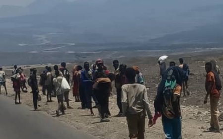 الهجرة من القرن الإفريقي ..   اليمن محطة عبور .. وشبوة وأبين  نقطتان لإستقبال وتجميع اللاجئين