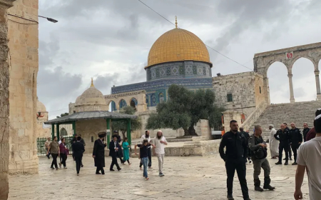 عاجل.. عشرات من مستوطني الاحتلال يقتحمون المسجد الاقصى وسط حراسات مشددة