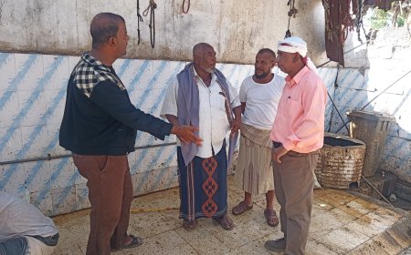 مدير عام زنجبار يزور سوق اللحوم الجديد ويتفقد مسلخ زنجبار