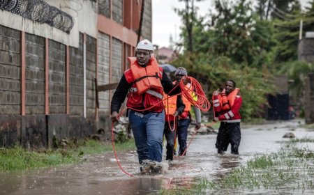 صندوق الخسائر والأضرار يوزع 250 مليون دولار حتى نهاية 2026 لمساعدة الدول النامية