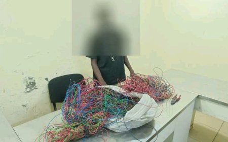 شرطة المنصورة تلقي القبض على متهم بسرقة أسلاك وكابلات كهربائية من منازل المواطنين