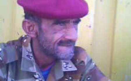 أولاد الشهيد جمال شهيل الحميدي يناشدون اللواء محمود الصبيحي مستشار رئيس الجمهورية