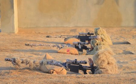 عام 2024: تتويجٌ لسجلٍ حافلٍ ومآثر خالدة في مسار البناء المؤسسي والتأهيل النوعي
