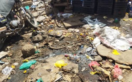 روائح المجاري تغلب على رائحة السمك في سوق زنجبار المركزي والسلطات تكتفي بالمشاهدة والحيتان البشرية تلتهم الإيرادات!