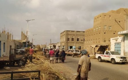 مواطنو مديرية أحور يطالبون بسرعة تنفيذ حملة رش وقائي لمكافحة البعوض