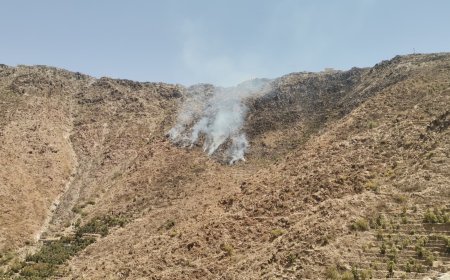 خطيب مسجد جبل السعدي بيافع رصد يدعو إلى الوقوف ضد ظاهرة إحراق الحيود ومراعي الحيوانات