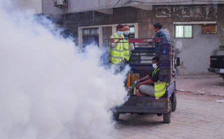 صحة البيئة في صيرة يواصل حملات الرش الضبابي لمكافحة البعوض الناقل للأمراض