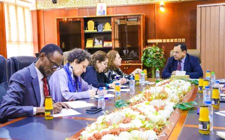 الوزير السقطري يبحث مع وفد البرنامج الإنمائي للأمم المتحدة تدخلات البرنامج في اليمن