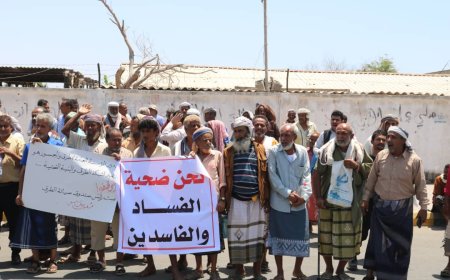 عمال وكوادر مؤسسة الطرق والجسور يناشدون رئيس الوزراء التوجيه إلى المالية  بانتظام رواتبهم شهرياً