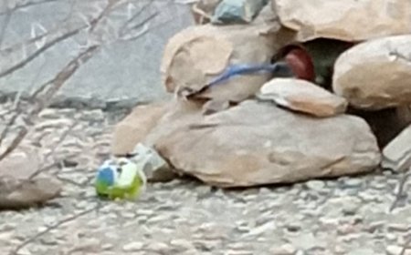 قوات اللواء الثاني دعم وإسناد تعثر على عبوة ناسفة متطورة زرعها تنظيم القاعدة في قرية البقيرة شرق مديرية مودية