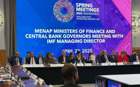 وزير المالية ومحافظ البنك المركزي يشاركان في اجتماع بلدان الشرق الأوسط وشمال أفريقيا