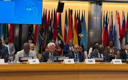 اليمن يشارك في الحوار الوزاري الـ 14 لمجموعة العشرين (V20) في واشنطن