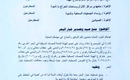 هيئة المصائد بشبوة تصدر تعميماً بمنع اصطياد وتصدير خيار البحر واتخاذ الإجراءات القانونية اللازمة بحق المخالفين