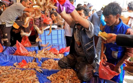 تقرير.. موسم اصطياد الشروخ في اليمن مهدد.. فما السبب؟