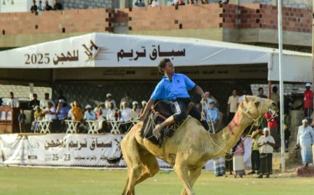 تنظيم باهر واختتام رائع.. تريم تشهد أكبر سباق للهجن في اليمن