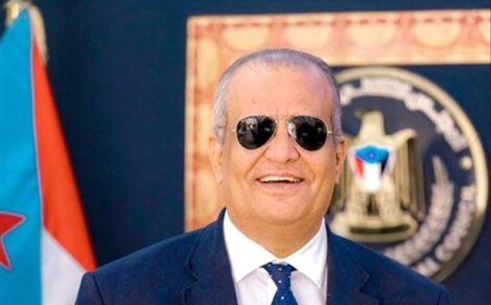 شطارة يقترح تسليم عدن لمجموعة هائل سعيد ويطالب بإغلاق باب السياسة