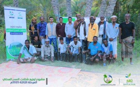 بتمويل من مؤسسة نهد التنموية توزيع 1000 شتلة سدر محلي لتعزيز الغطاء النباتي في حضرموت