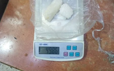 إدارة البحث الجنائي بشبوة تحيل متهم بتهريب وترويج المخدرات إلى النيابة العامة