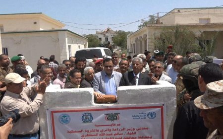 السقطري والتركي وفضيل والحالمي .. يضعون حجر الأساس ويدشنون عدد من المشاريع الأكاديمية في كلية ناصر للعلوم الزراعية جامعة لحج