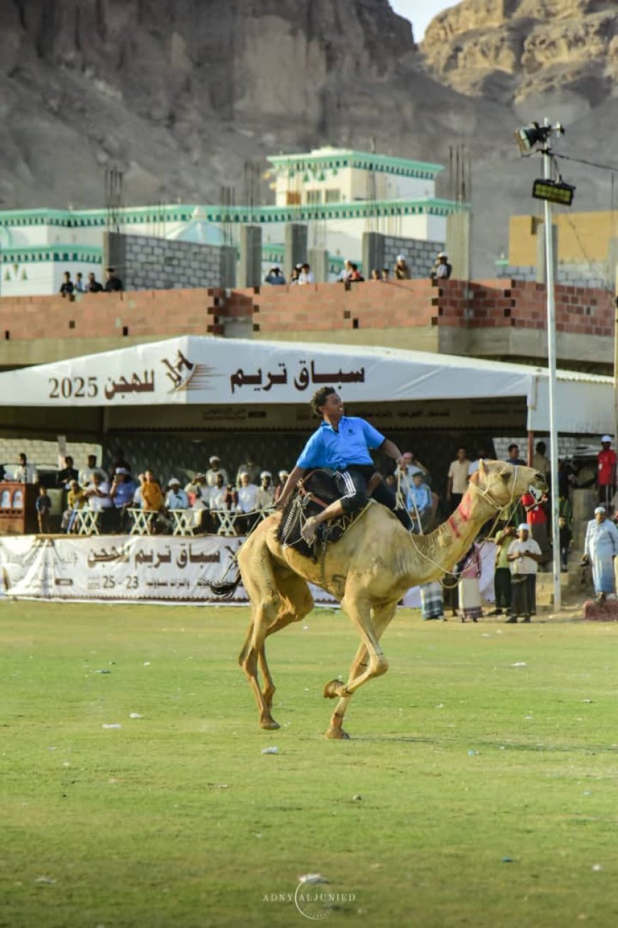 تنظيم باهر واختتام رائع.. تريم تشهد أكبر سباق للهجن في اليمن