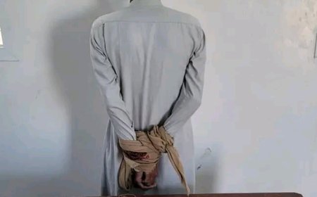 شبوة: قوات دفاع شبوة تحبط محاولة تهريب كمية من المخدرات إلى مدينة عتق