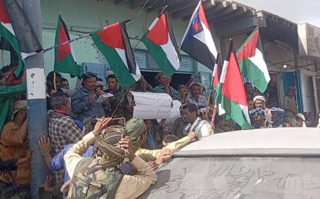 أحور تشهد مظاهرة حاشدة تضامنًا مع غزة وتنديداً بتدهور الأوضاع المعيشية في الجنوب