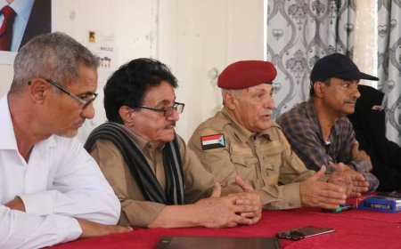 إنتقالي الضالع ينفذ ورشة تدريبية حول أساليب التعليم الحديثة في رياض الأطفال