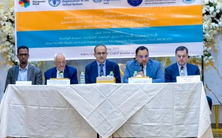 في ورشة الأداة التشغيلية لآليات التنسيق المتعدد القطاعات.. السقطري وبحيبح يؤكدان على تطبيق نهج "الصحة الواحدة"