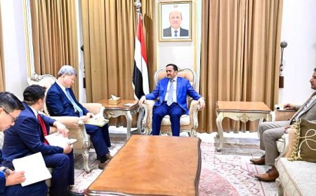 عضو مجلس القيادة الرئاسي عثمان مجلي يلتقي السفير الكوري