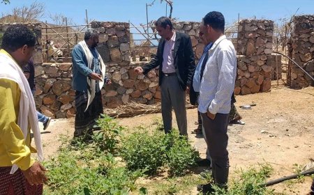 وكيلَا وزارة الزراعة والري يزوران مديرية قلنسية وعددًا من المناطق الزراعية بسقطرى لتفقد أوضاع القطاع الزراعي