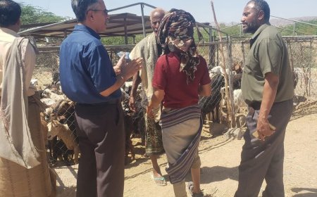 مدير عام مديرية عتق يشرف على حملة تفتيش للمسالخ ويوجه بإنذارات للمخالفين