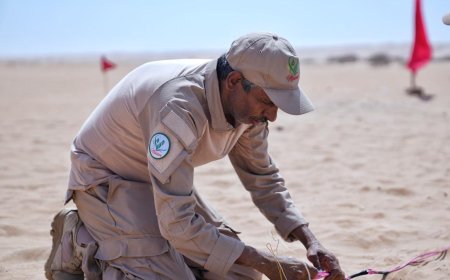شبوة.. مشروع مسام يتلف 600 لغم وعبوة ناسفة