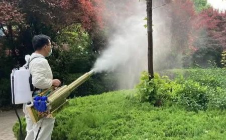 تحذير هام من الاستخدام العشوائي والمفرط للمبيدات في مكافحة البعوض