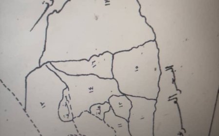 خريطة تُنعش الذاكرة التاريخية.. نشطاء يحيون أمجاد سلطنة الواحدي أكبر سلطانات الجنوب