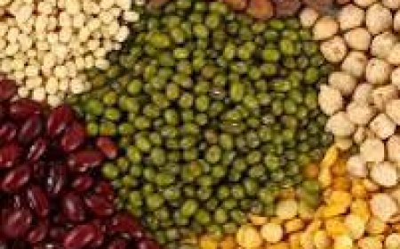جنة سيدز.. جهود تستحق التقدير .