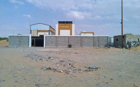 برعاية وزير الزراعة والمحافظ بن الوزير، تدشين استلام بنك البذور المجتمعي في عسيلان - شبوة