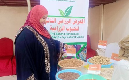 مؤسسة إنسان التنموية HDF تعزز السيادة الغذائية في معرض الحبوب بأبين