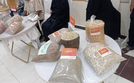 تنظيم معرض الحبوب الزراعية الثاني في محافظة أبين لتعزيز الأمن الغذائي