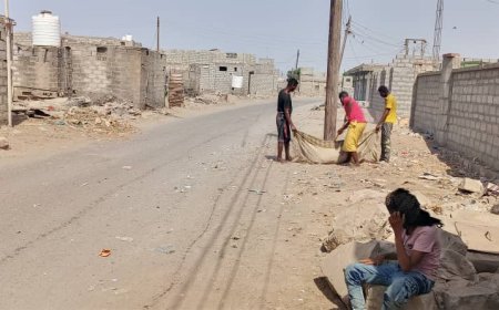 حملة النظافة تواصل عملها في الشارع الرئيسي لسوق مدينة شقرة بأبين