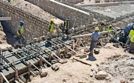 الوكيل البابكري ومدير عام الزراعة يتفقدان عددًا من المشاريع الزراعية في مديرية حبان