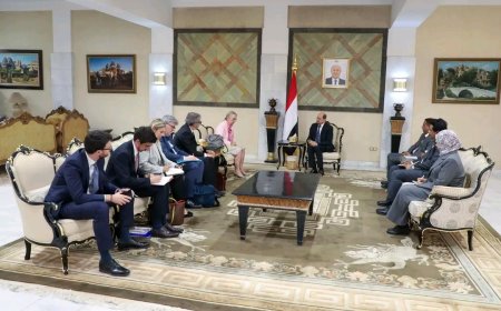 وزير الخارجية يبحث مع مسؤولة أوروبية التنسيق لمواجهة التحديات الإقليمية والدولية