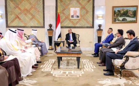 رئيس الوزراء يستقبل أمين عام مجلس التعاون لدول الخليج العربية