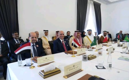 وزير الخارجية يشارك في اجتماع هيئة متابعة تنفيذ القرارات والالتزامات المعنية بالقمة العربية